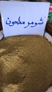 شومر مصحوق