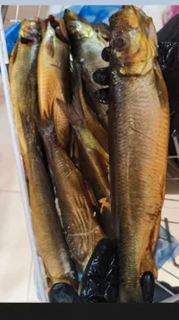 سمك مدخن طازج