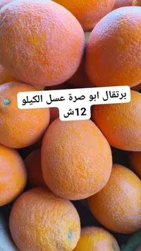 برتقال أبو صرة عسل الكيلو