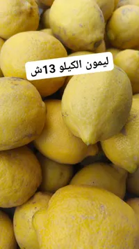 ليمون الكيلو - 13 شيكل