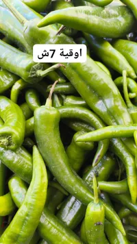 فلفل أخضر حار - أوقية 7