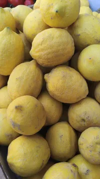 ليمون طازج