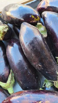 باذنجان طازج