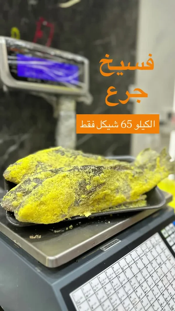 فسيخ جِرع - مواد غذائية وبقالة - سوق غزة