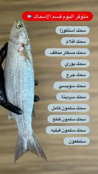 أسماك طازة - تشكيلة متنوعة من الأسماك البحرية