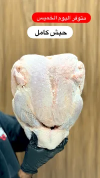 حبيش كامل طازج