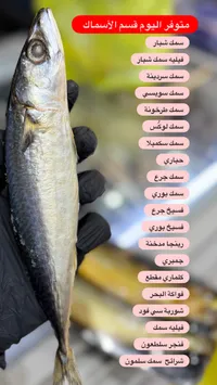 أسماك طازجة متنوعة - قسم الأسماك