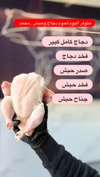دجاج طازج - محمد
