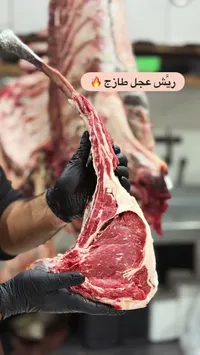 ريش عجل طازج