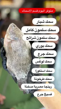 سمك شيار طازج