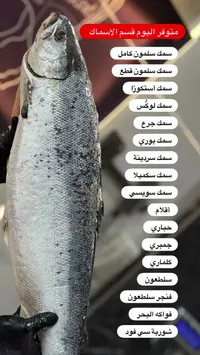 سمك سلمون طازج كامل