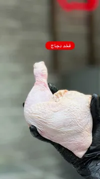 فخد دجاج طازج
