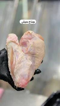 جناح حبش طازج
