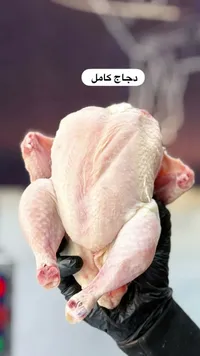 دجاج كامل طازج