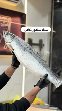 سمك سلمون كامل طازج
