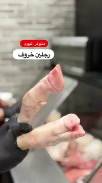 رجلين خروف طازجة