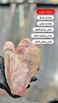 تشكيلة لحوم الدواجن والحبش الطازجة