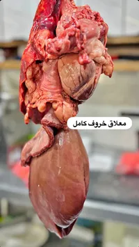 معلاق خروف كامل