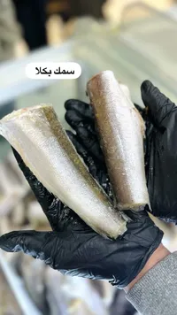 سمك بكلا مجمد