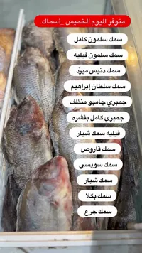 تشكيلة أسماك طازجة ومجمدة متنوعة
