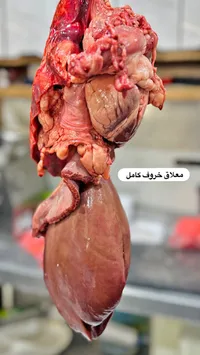 معلاق خروف كامل