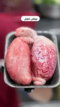 بيض عجل طازج