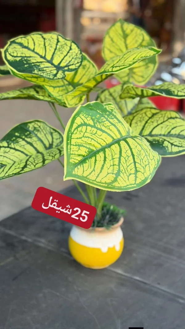 نبات صناعي في أصيص - أدوات منزلية - سوق غزة