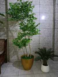 نبات صناعي مع قاورة ذهبية