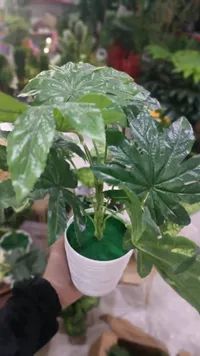 نبات صناعي - فيلودندرون أخضر