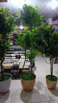 قوار نبات بلاستيك ذهبي