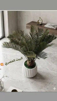 نبات أرويكا صناعي مع إناء سيراميك أبيض