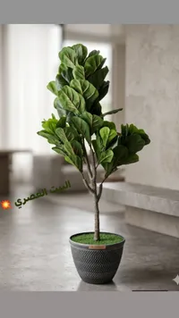نبتة زامية صناعية مع إناء