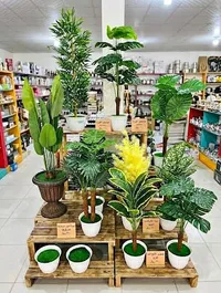 نباتات زينة صناعية متنوعة