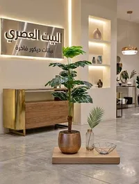 نباتات ديكور فاخرة - البيت العصري