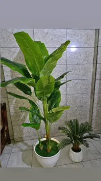 شجرة موز صناعية مع حوض زراعة