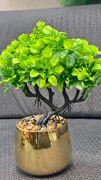 شجرة بونساي اصطناعية في أصيص ذهبي