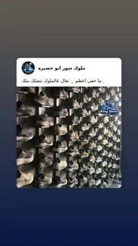 حذاء رياضي شبابي - سكيتشرز (Skechers)