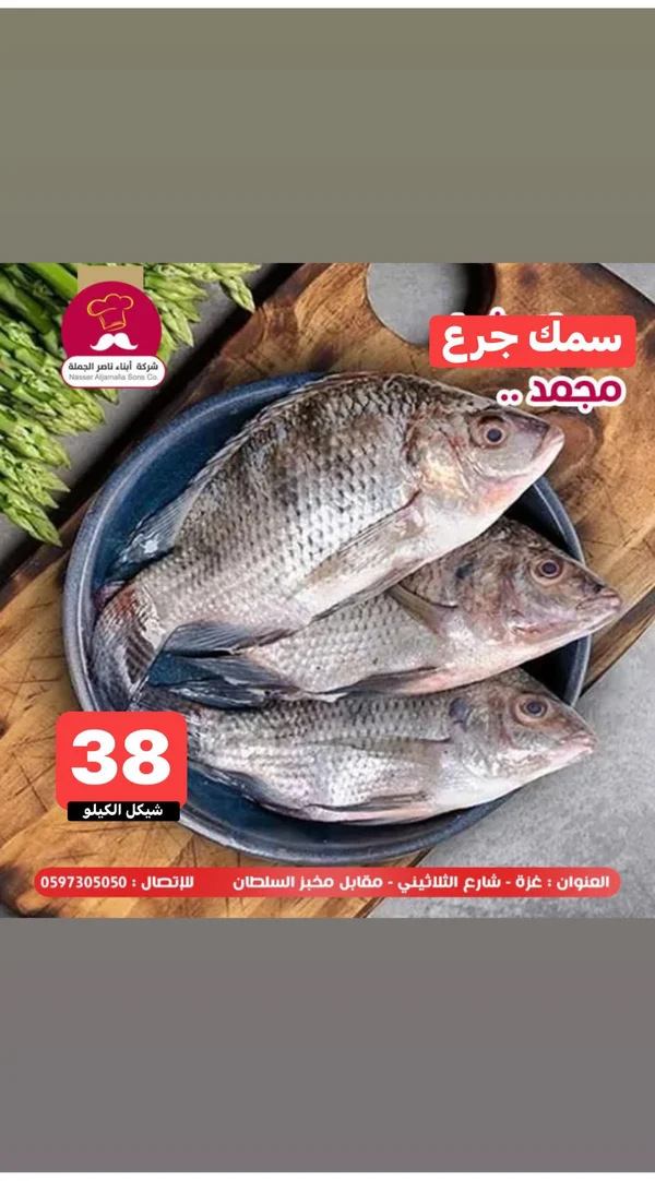 سمك جرع مجمد - شركة أبناء ناصر الجملة - مواد غذائية وبقالة - سوق غزة
