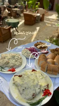 وجبة دجاج بالمشروم واسكلوبيني