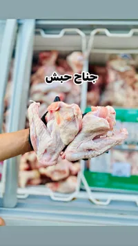 أجنحة حبش