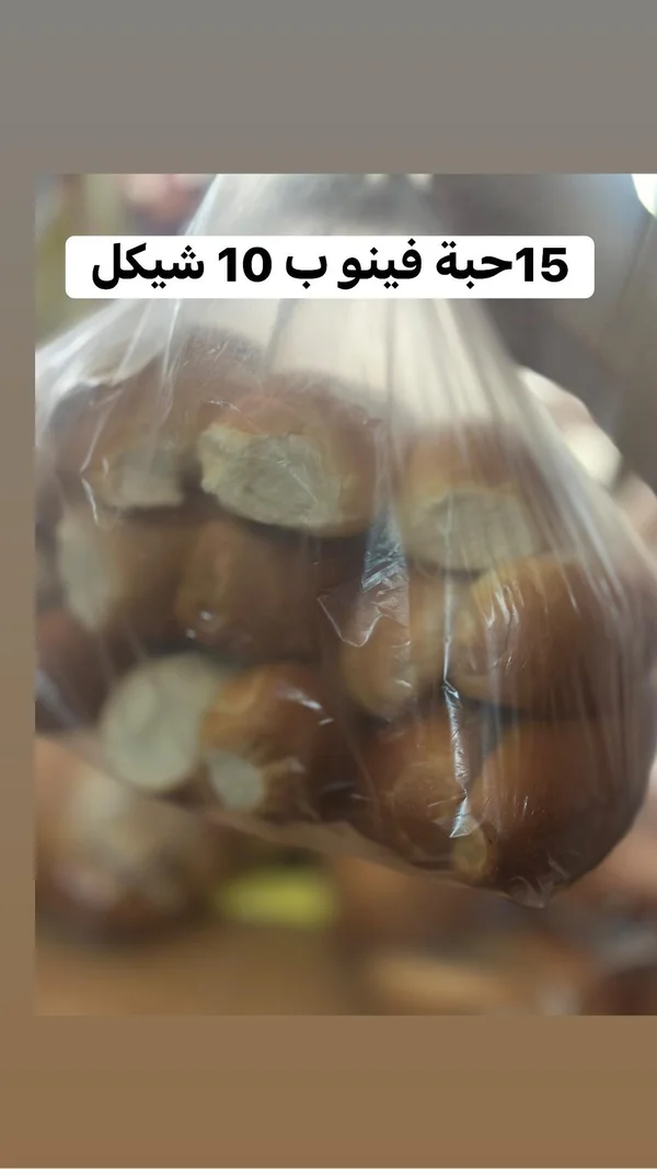 خبز فينو طازج - مواد غذائية وبقالة - سوق غزة