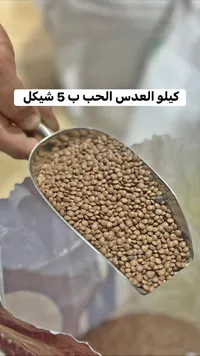 عدس حب بني - سوق غزة