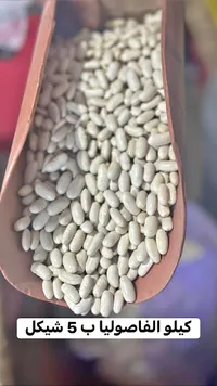 فاصولياء بيضاء ناشفة - سوق غزة