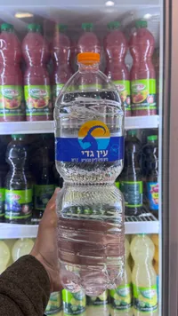 عين גדל - مياه معدنية طبيعية