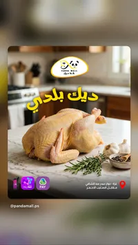 ديك بلدي - باندا مول
