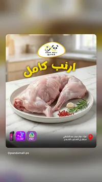 أرنب كامل - باندا مول