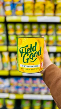 شرائح الأناناس في شراب خفيف - فيلد جود (Field Good)