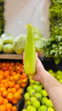 ذرة طازجة