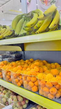 مشمش طازج في عبوات بلاستيكية