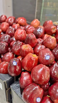 تفاح أحمر طازج - ريد ديليشس (Red Delicious)